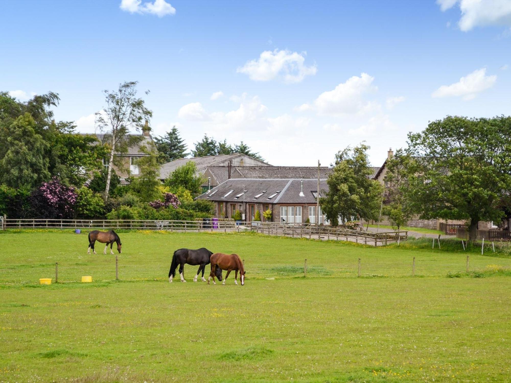Appletree Cottage Kirkton of Tealing Exteriör bild