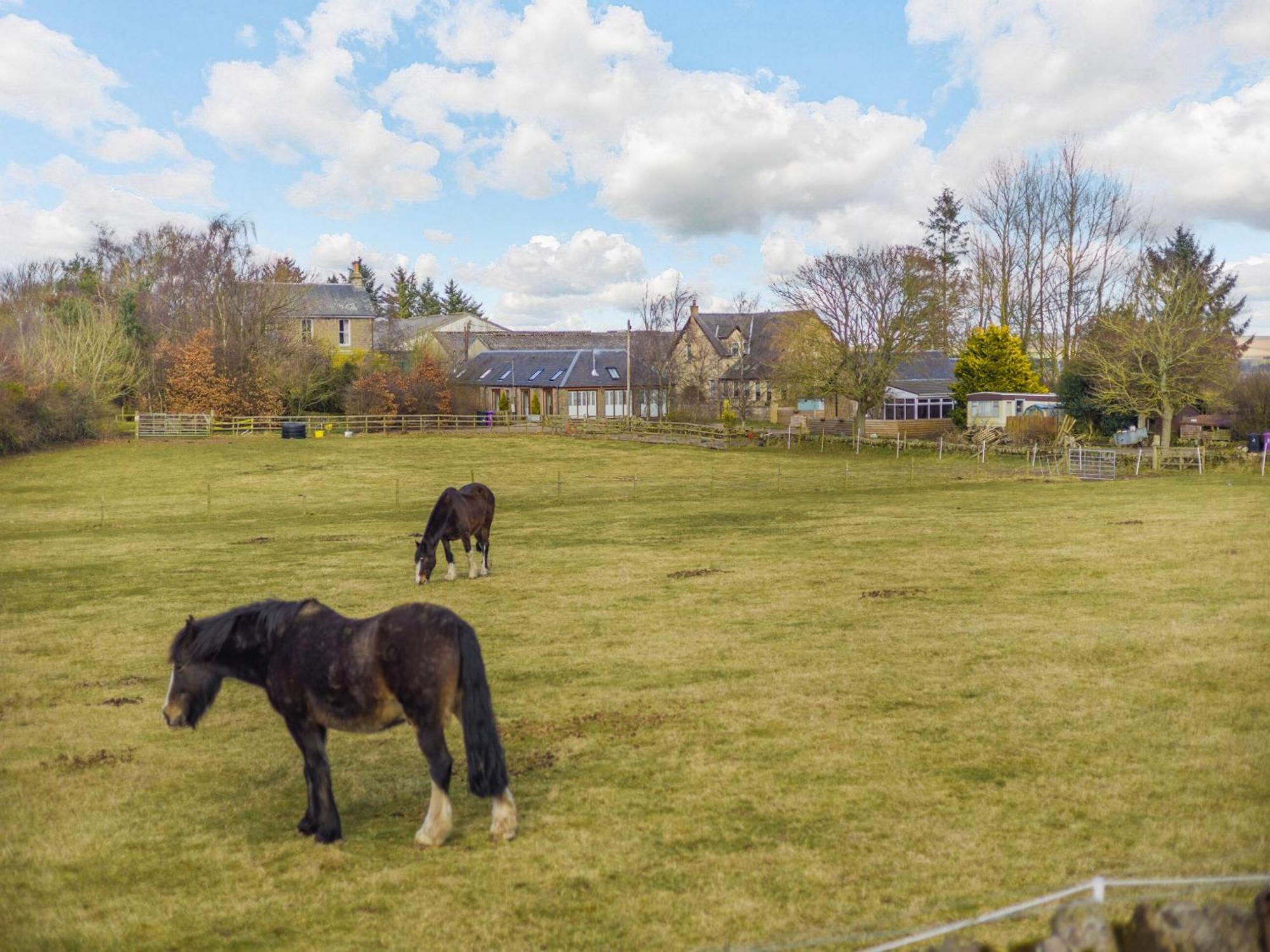 Appletree Cottage Kirkton of Tealing Exteriör bild